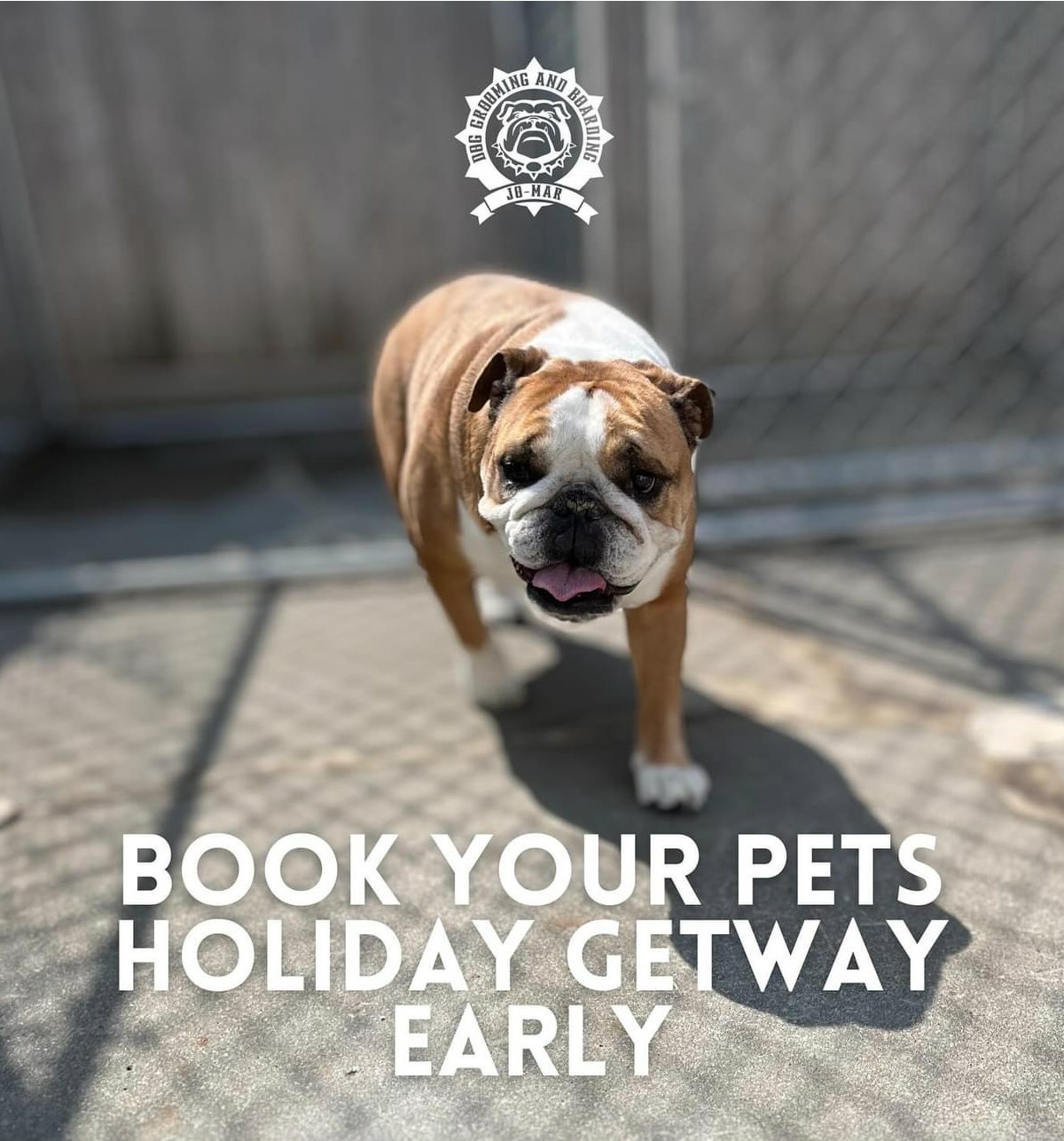 Holiday Boarding Promotion Flyer