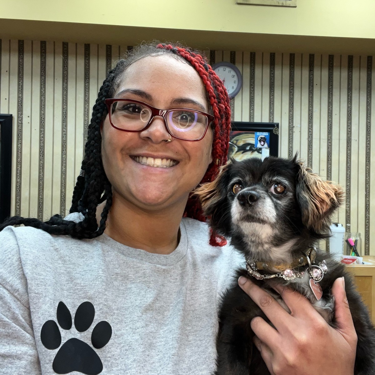 Talia Junior Groomer